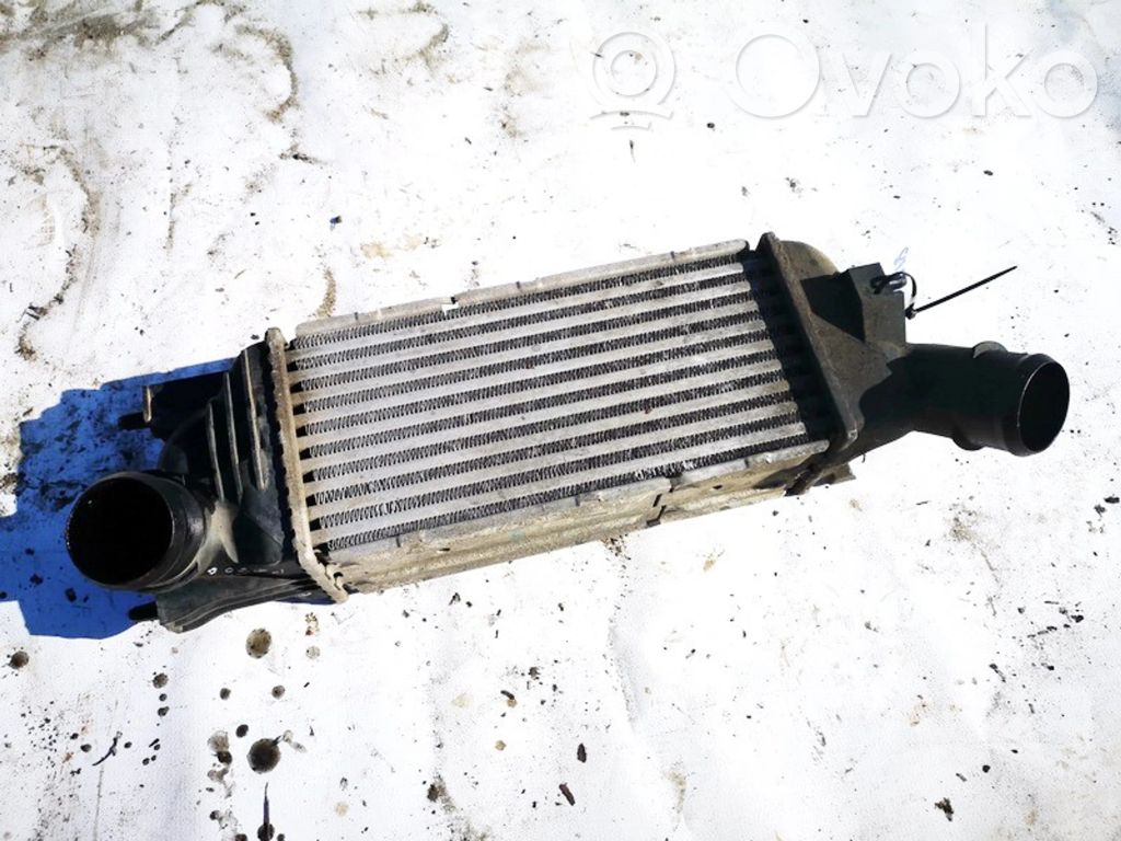 Peugeot 407 Radiator intercooler 