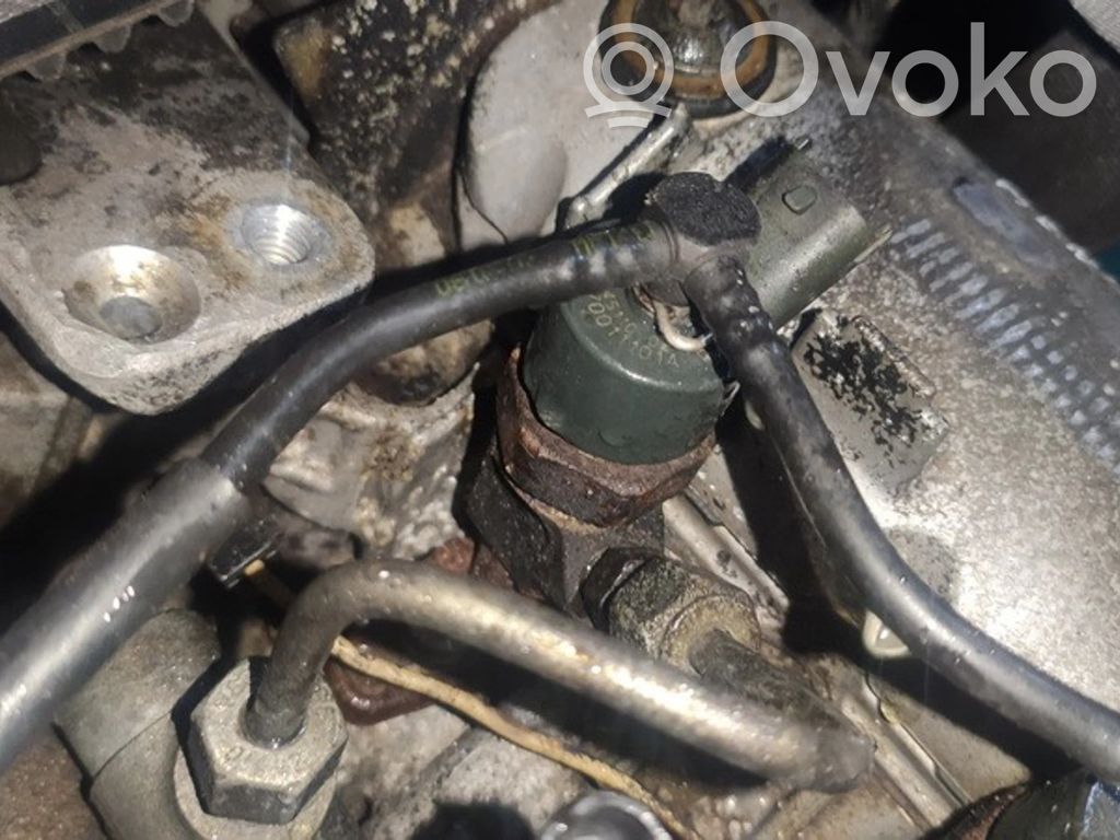 Renault Scenic I Injector combustibil 