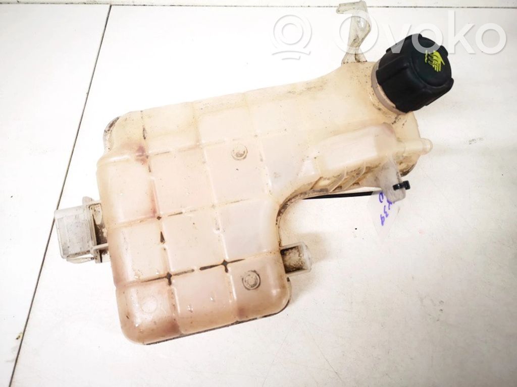 Renault Espace -  Grand espace IV Serbatoio di compensazione del liquido refrigerante/vaschetta 