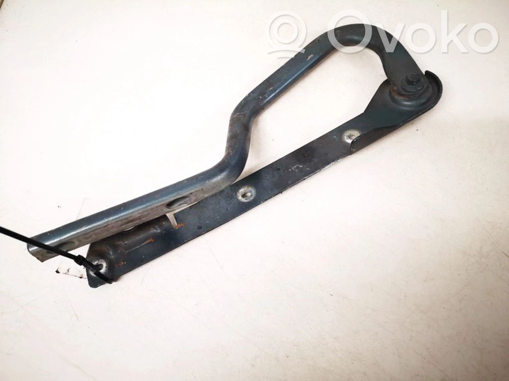 Chrysler Town & Country IV Cerniere del vano motore/cofano
