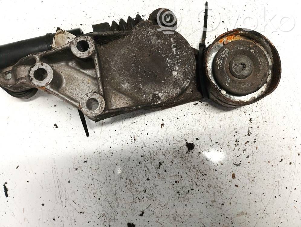 Skoda Octavia Mk1 (1U) Tendicinghia generatore/alternatore