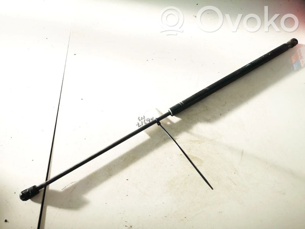 Opel Vectra C Ammortizzatore portellone anteriore/cofano 