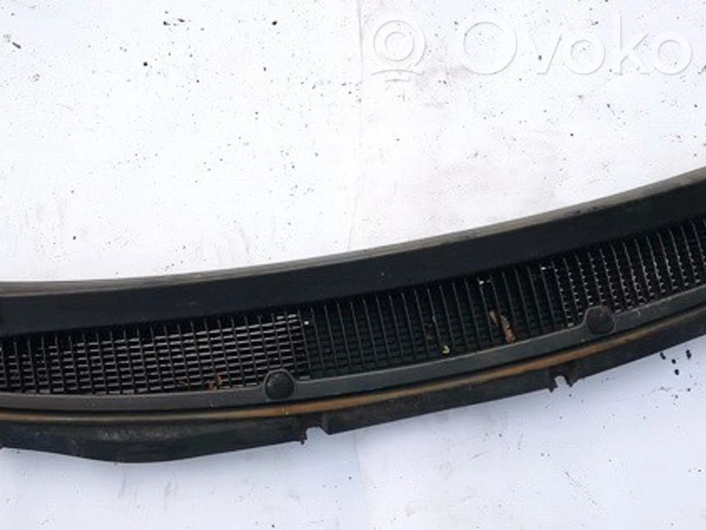 Chrysler Voyager Moldura del limpia 