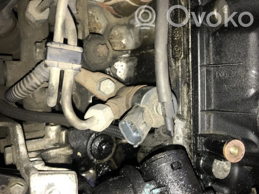 Inyector de combustible   9641742880,9641742880