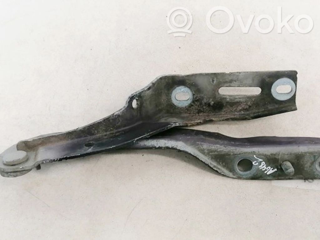 Peugeot 307 Balamale capotă 