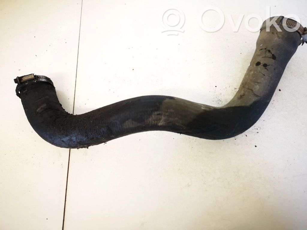 Ford Transit Furtun/conductă intercooler