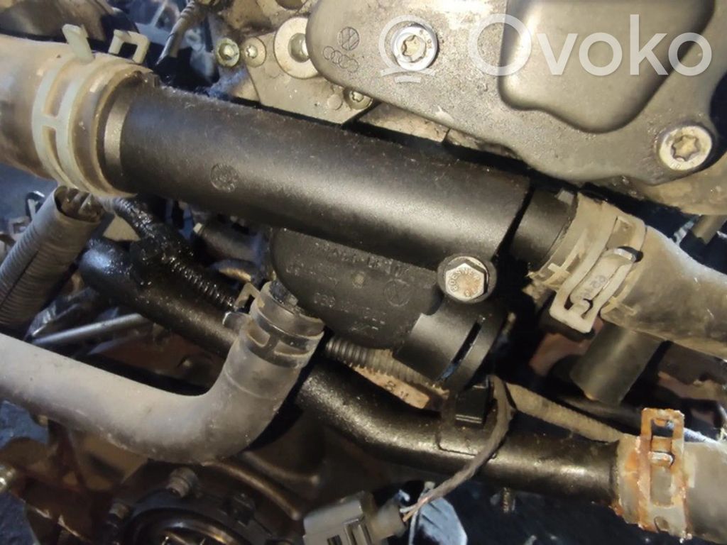 Volkswagen Polo Tubo flessibile del liquido di raffreddamento del motore