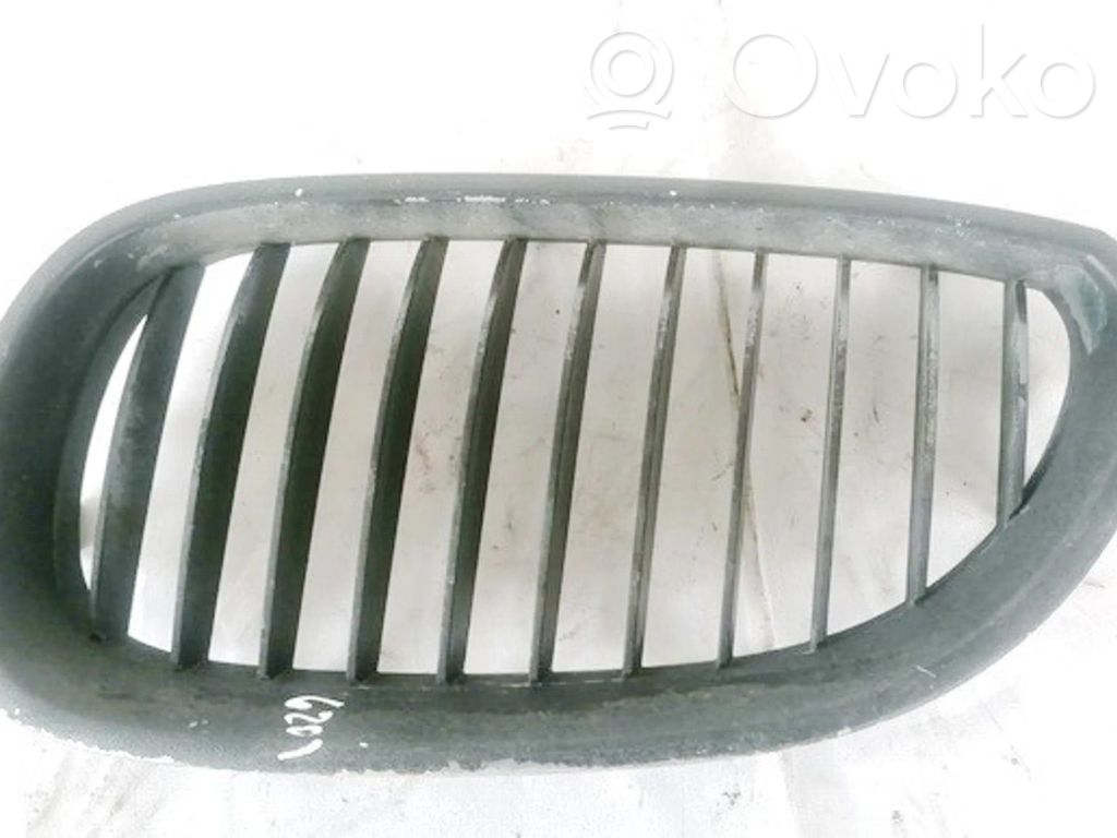Atrapa chłodnicy / Grill   51137027061,51137027061,51137027061,51137027061