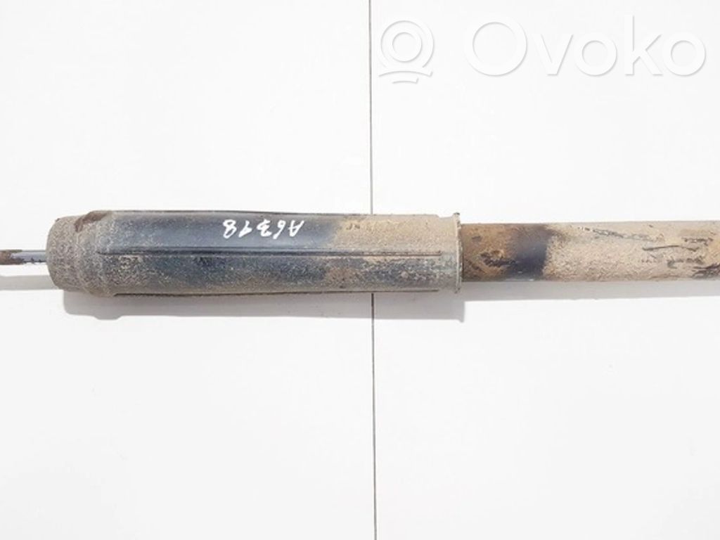 Stoßdämpfer hinten