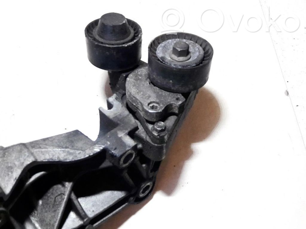 Nissan Qashqai+2 Napinacz paska alternatora 