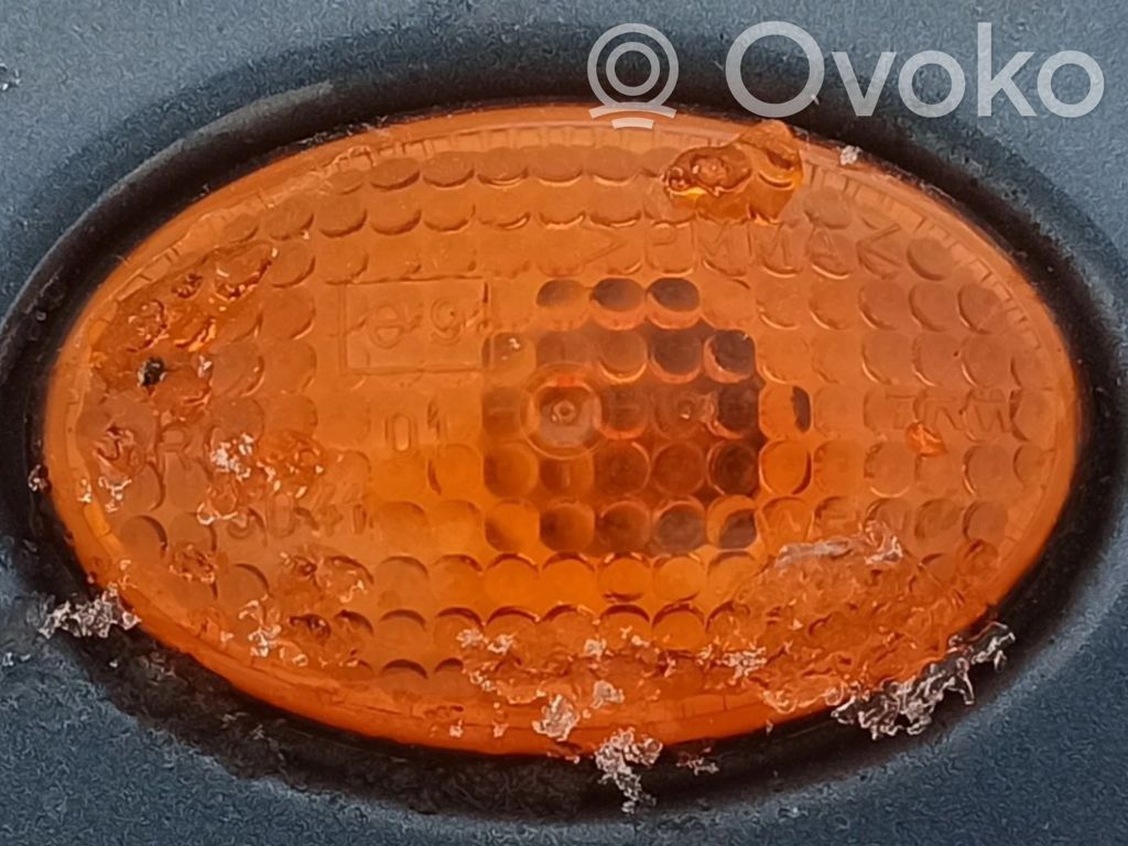 Seitenblinker