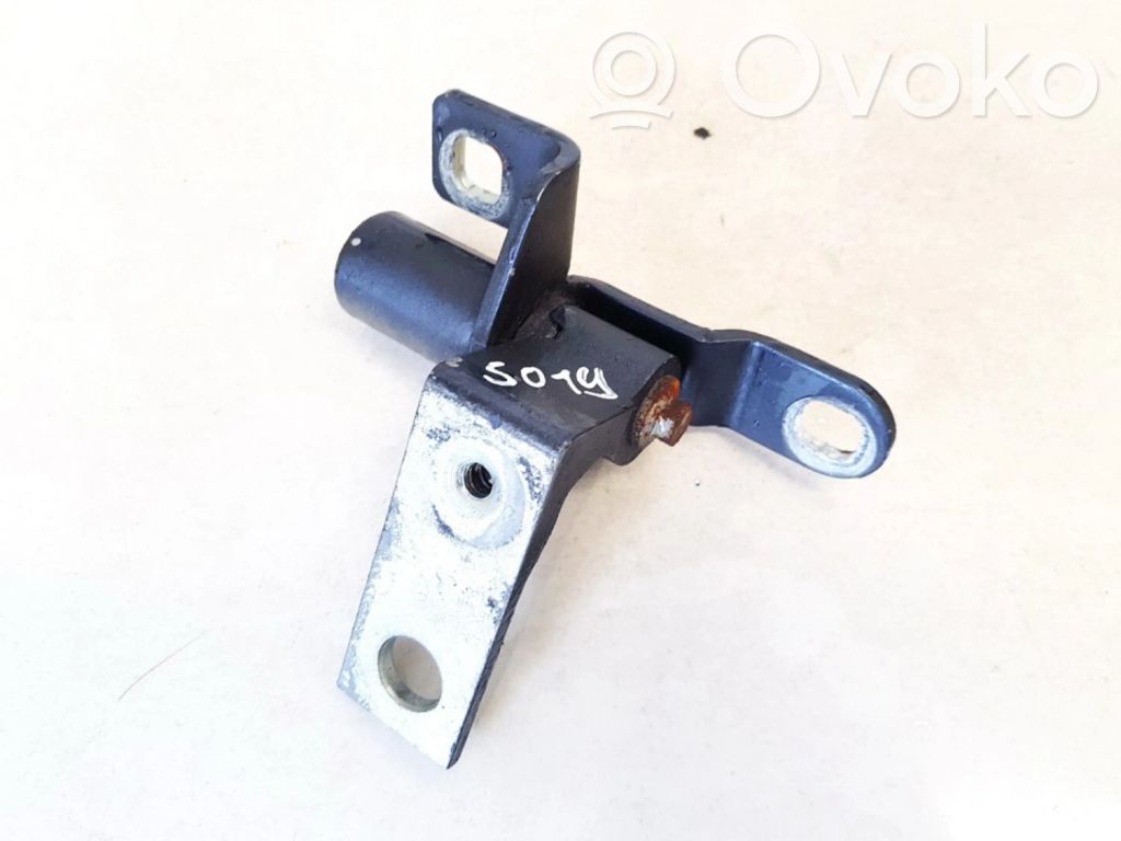 Unteres Scharnier Tür hinten   A046575,A046575