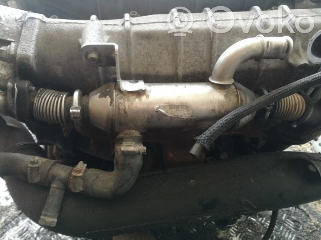 Peugeot 406 Valvola di raffreddamento EGR 
