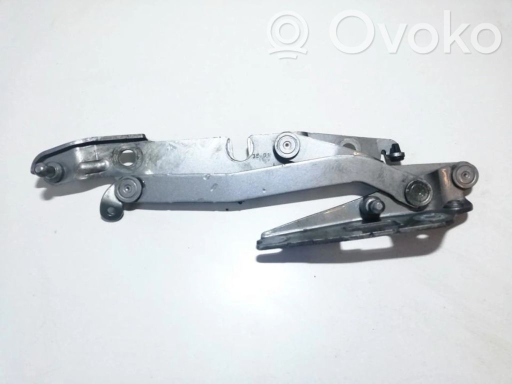 Audi A4 S4 B6 8E 8H Cerniera portellone posteriore/bagagliaio