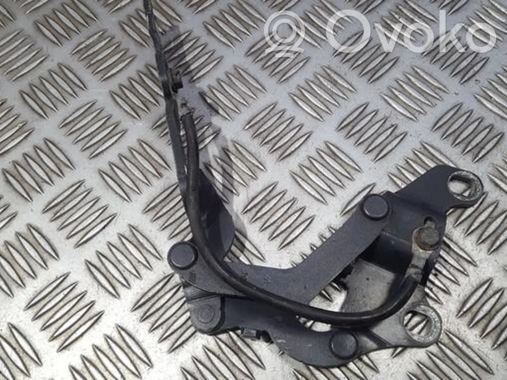 Scharnier Motorhaube   7060559,ES03,7060559,ES03