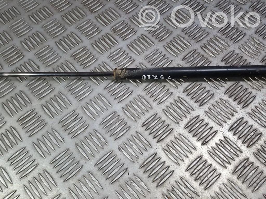 Ford Focus Tailgate/trunk strut/damper 
