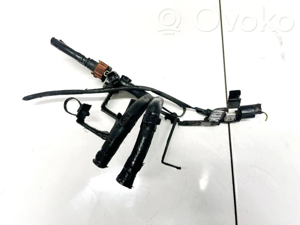 Hyundai Santa Fe Linea/tubo/manicotto combustibile 