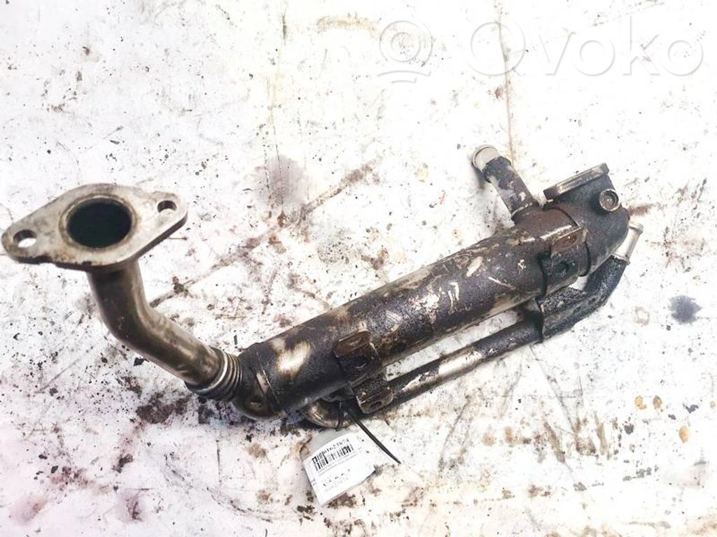 Volkswagen Golf V Răcitor supapă EGR 