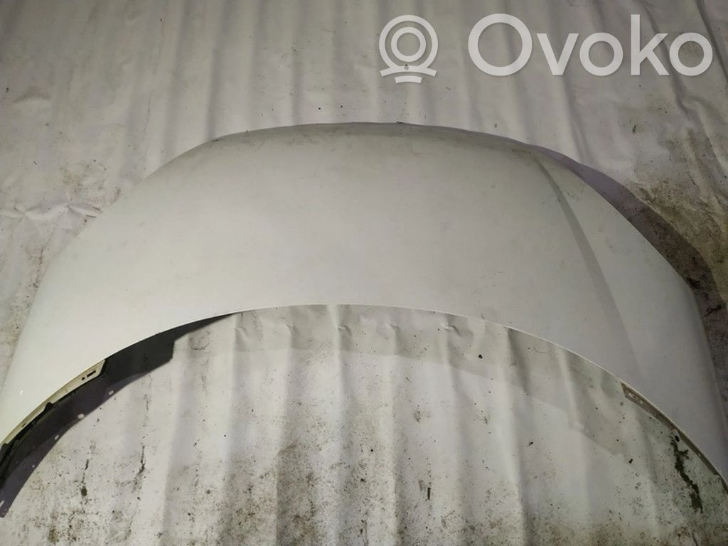 Vano motore/cofano   BALTAS,BALTAS