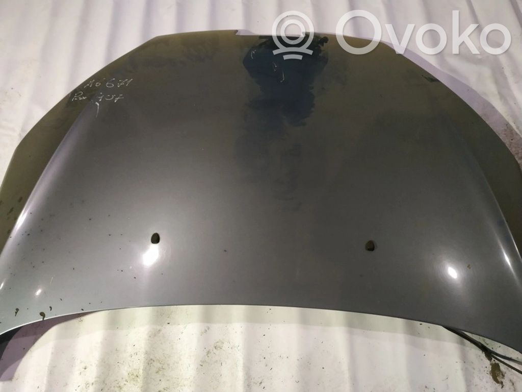 Peugeot 407 Motorhaube