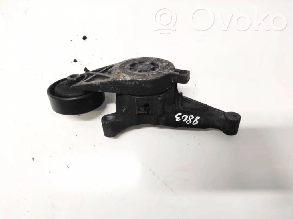 Skoda Octavia Mk2 (1Z) Tendicinghia generatore/alternatore 