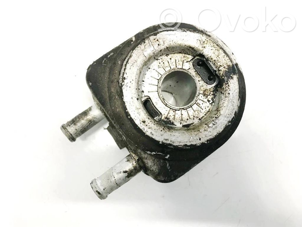 Radiator ulei motor   9607812980,9607812980,865637W,9607812980,HA1062