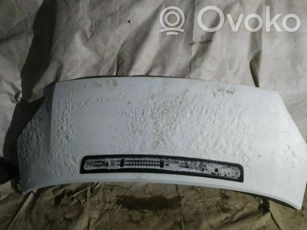 Motorhaube   BALTAS,BALTAS