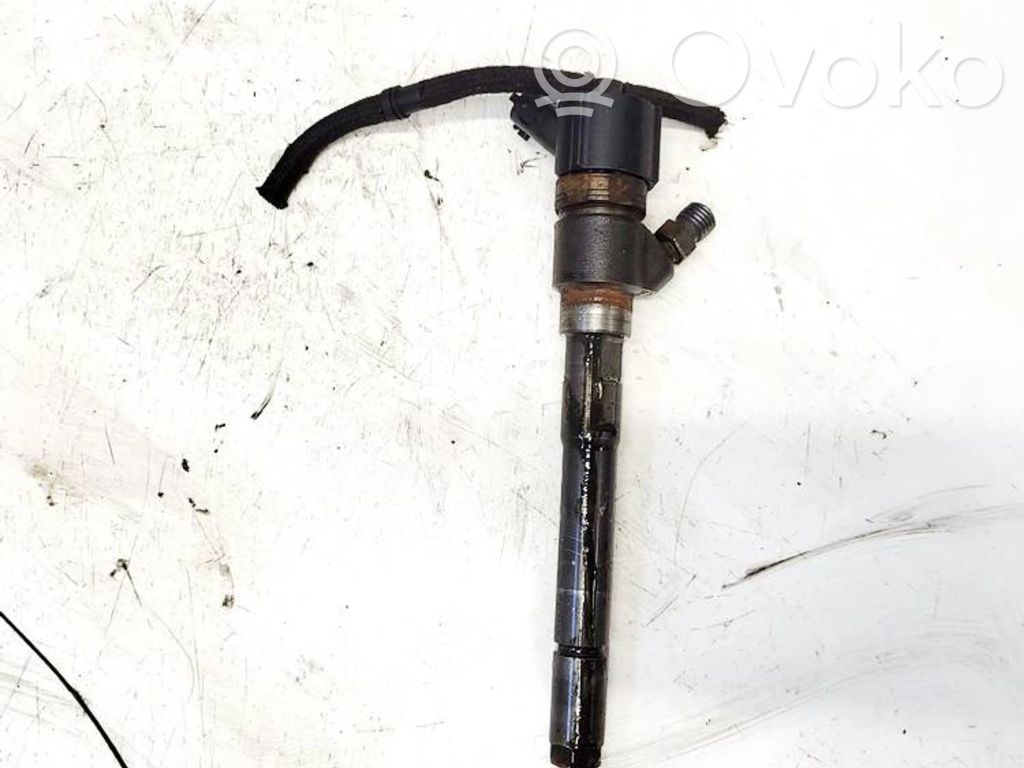 Hyundai Santa Fe Fuel injector 