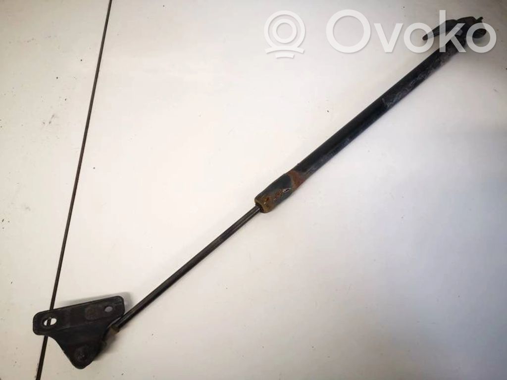 Ford Focus Amortizor hayon 