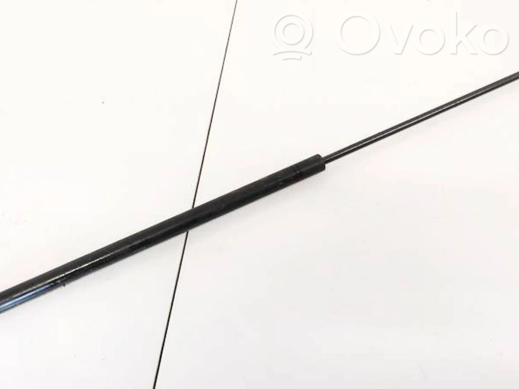 Opel Signum Ammortizzatore portellone anteriore/cofano 