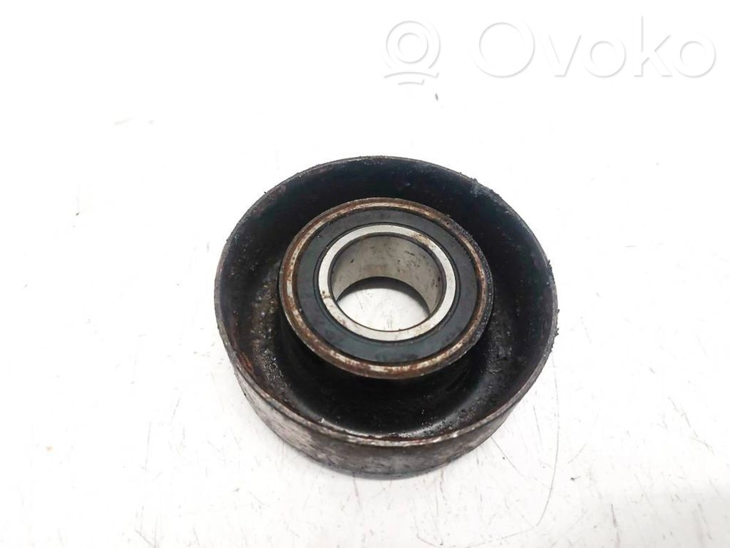 Polea de la bomba de agua