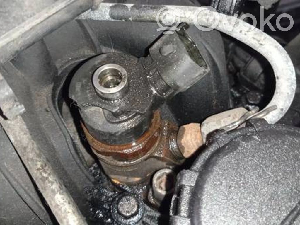 Injector combustibil   0445110297,0445110297