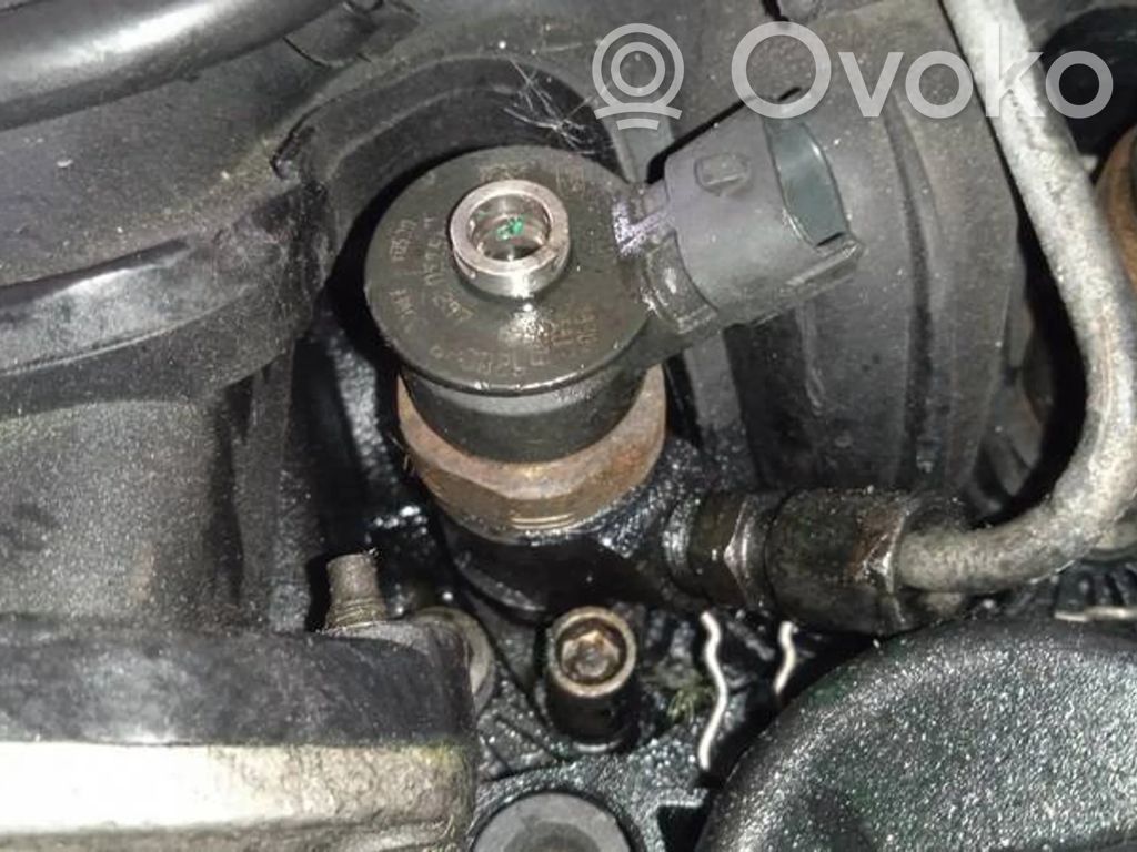 Injektor Einspritzdüse   0445110297,0445110297