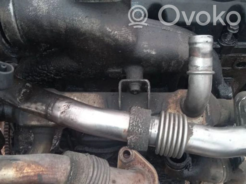 Volkswagen Sharan Răcitor supapă EGR 