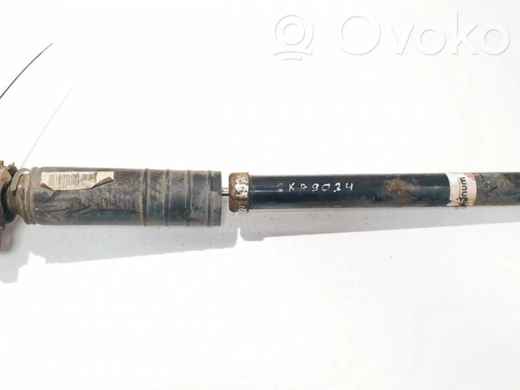 Fiat Punto (188) Amortisseur arrière