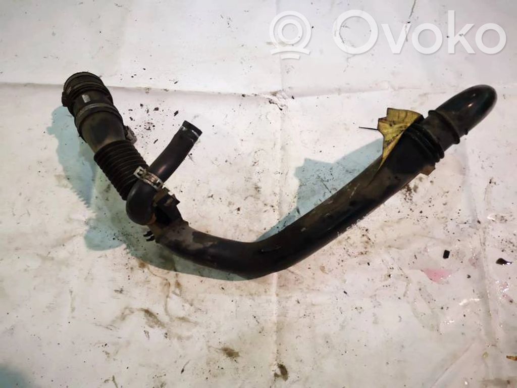 Citroen Xsara Picasso Furtun/conductă intercooler 