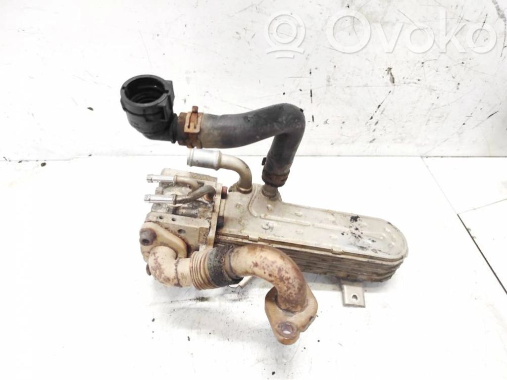 Volkswagen Golf Plus EGR dzesētājs 