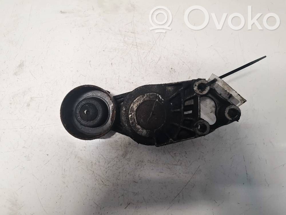 Întinzător curea generator/alternator   038903315A,038903315A