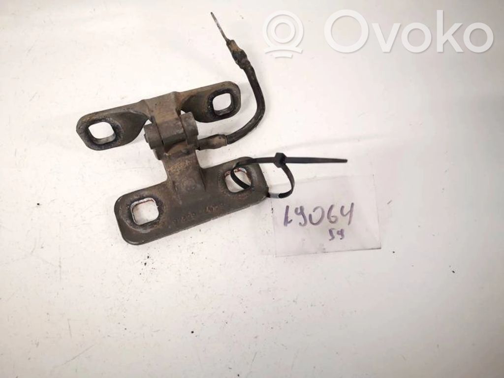 BMW X5 E53 Cerniera portellone posteriore/bagagliaio 