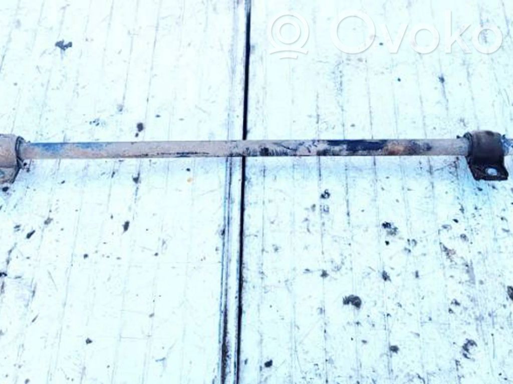 Stabilisator vorne