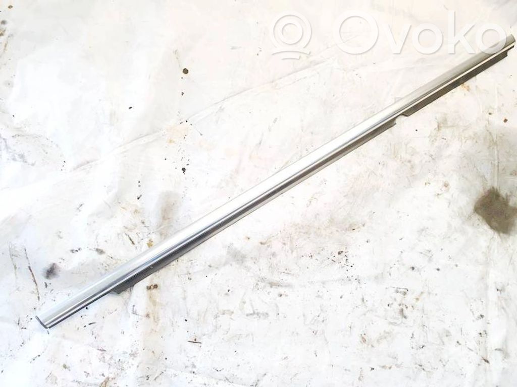 Volkswagen Tiguan Ornament geam ușă spate