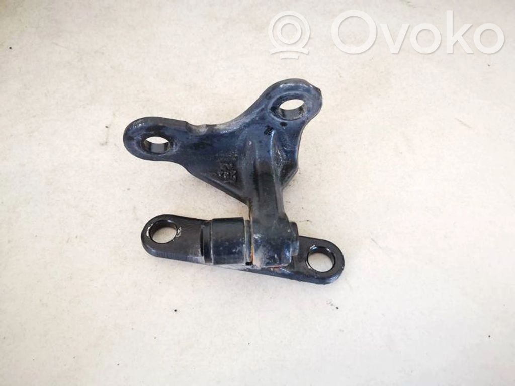 Rear door lower hinge
