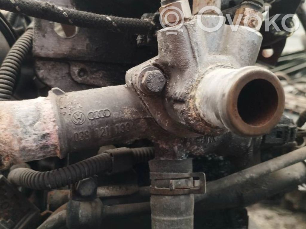 Audi A3 S3 8L Tubo flessibile del liquido di raffreddamento del motore