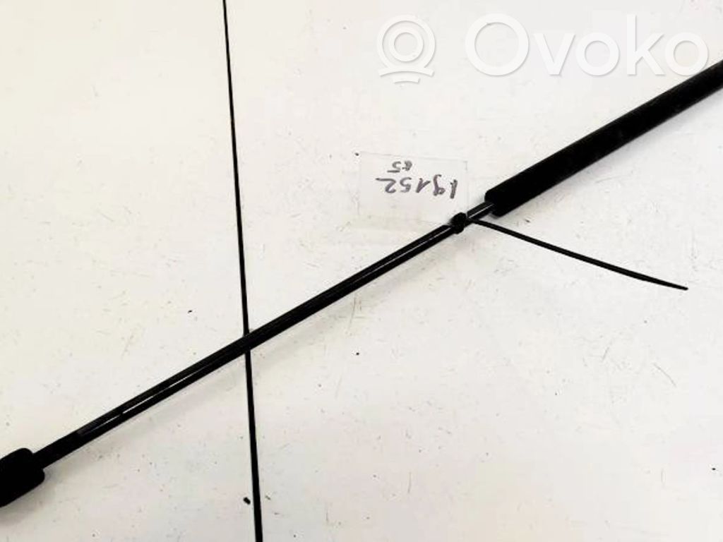 Opel Signum Ammortizzatore portellone anteriore/cofano 