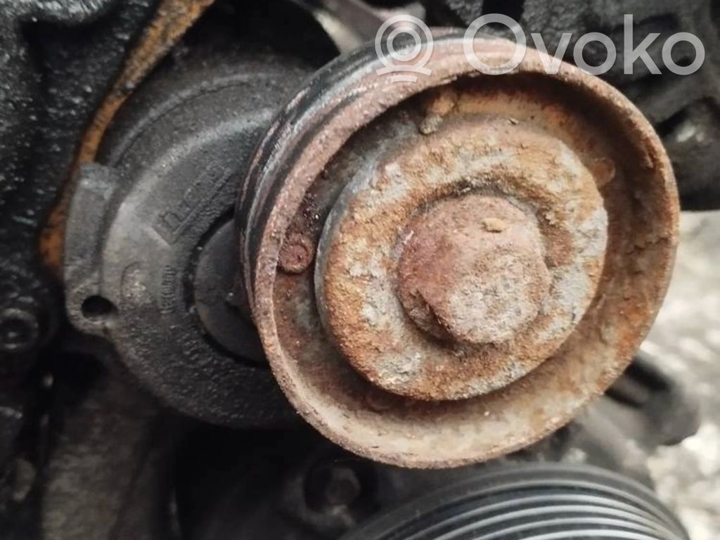 Volkswagen Golf V Napinacz paska alternatora 