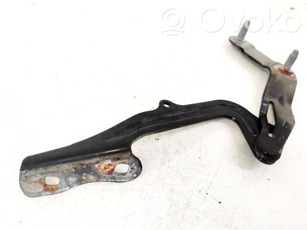 Ford S-MAX Balamale capotă