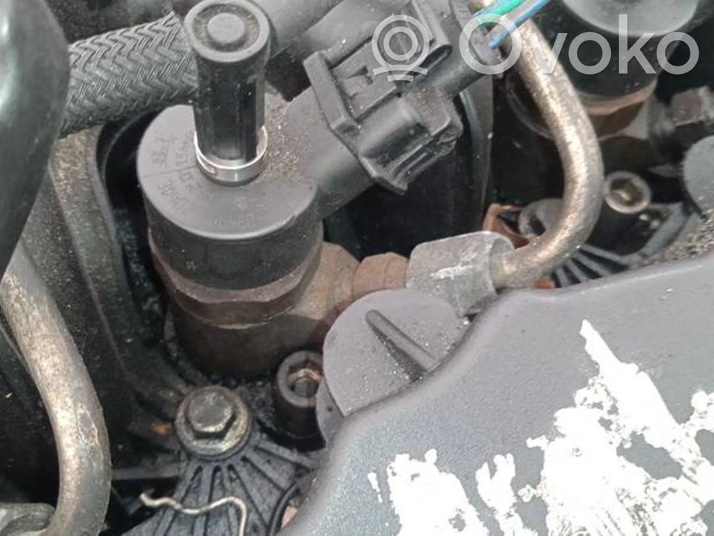 Injektor Einspritzdüse   0445110259,0445110259