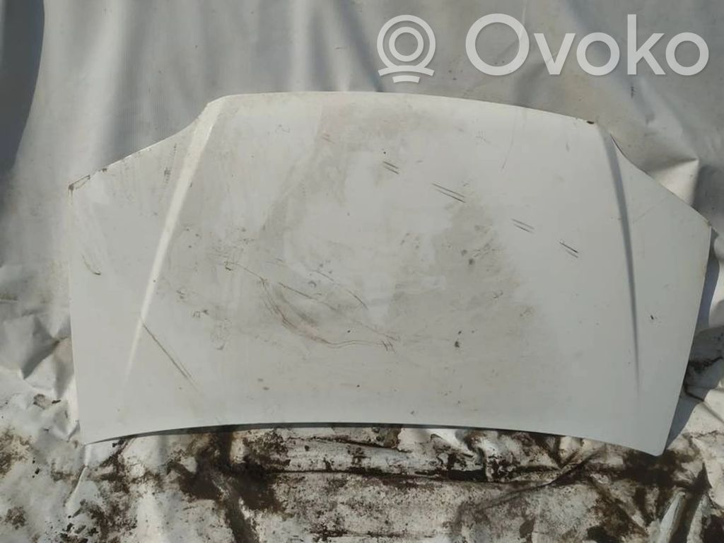 Motorhaube   BALTAS,BALTAS