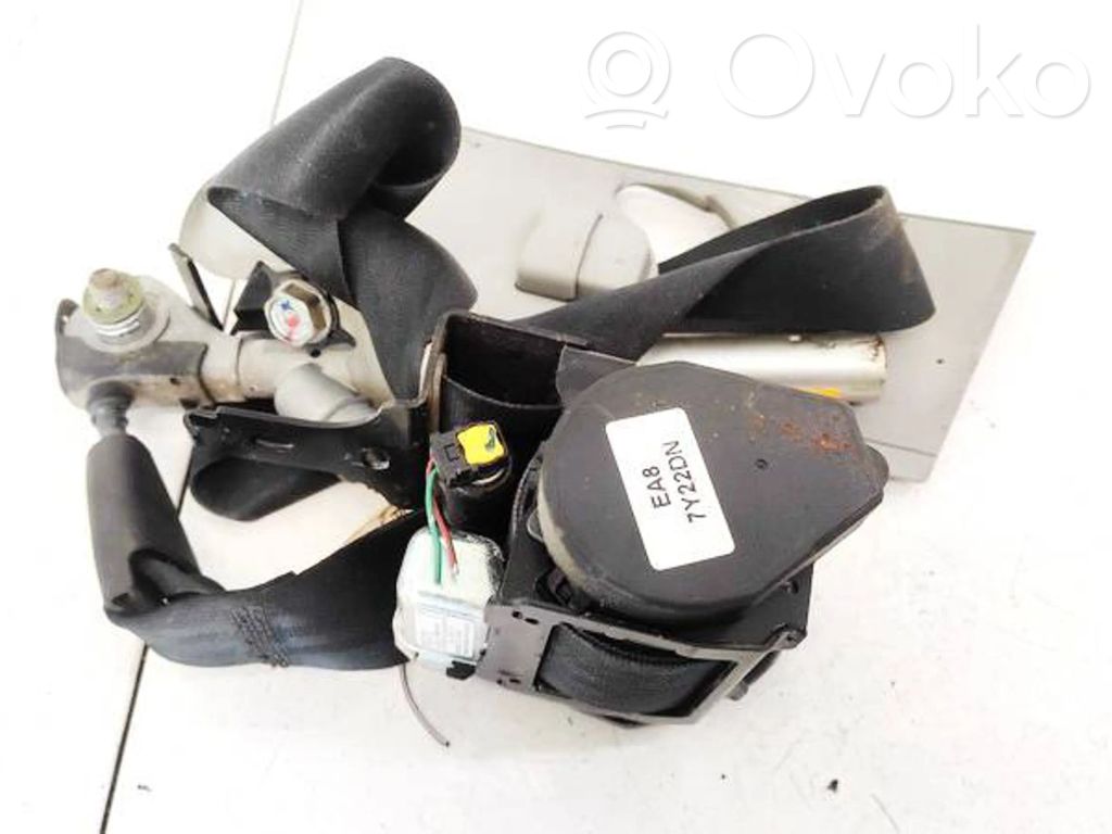 Cinturón delantero   TY22DN,TY22DN