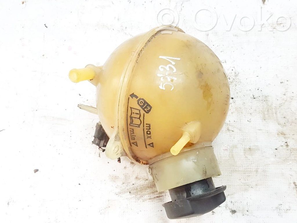 Ford Galaxy Vas expansiune/rezervor lichid de răcire 
